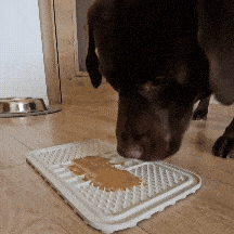 Divus lick mat